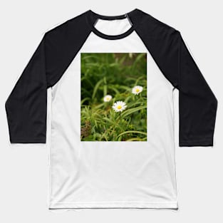 Oxeye Daisy - Moon Daisy flowers Baseball T-Shirt